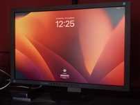24" EIZO FlexScan S2433W 1920x1200 16:10 dla fotografa grafika BEZ WAD