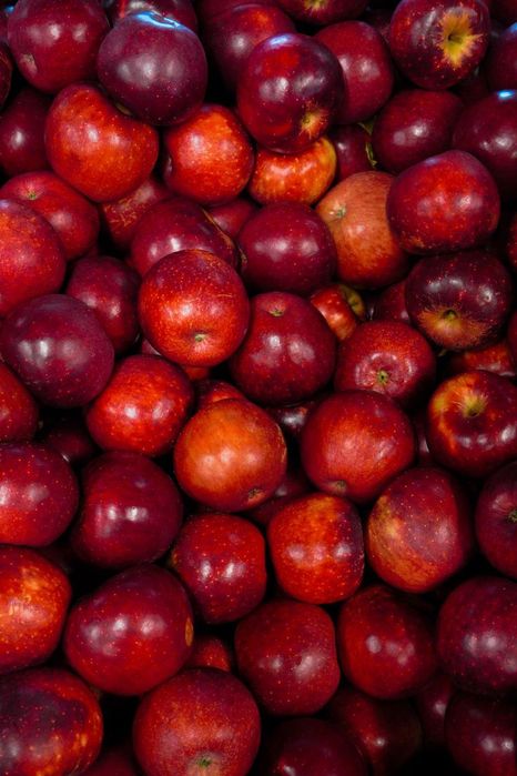 Продаю клюкву лісову та канадську.