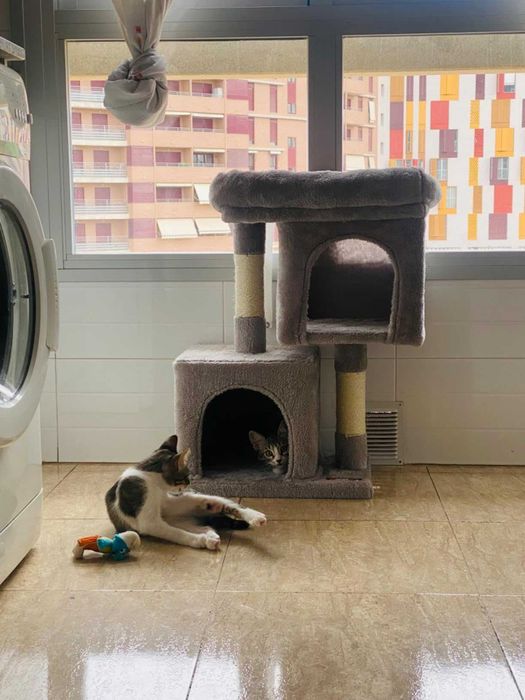 Kompaktowy drapak budka domek wygodny z legowiskiem 67 cm