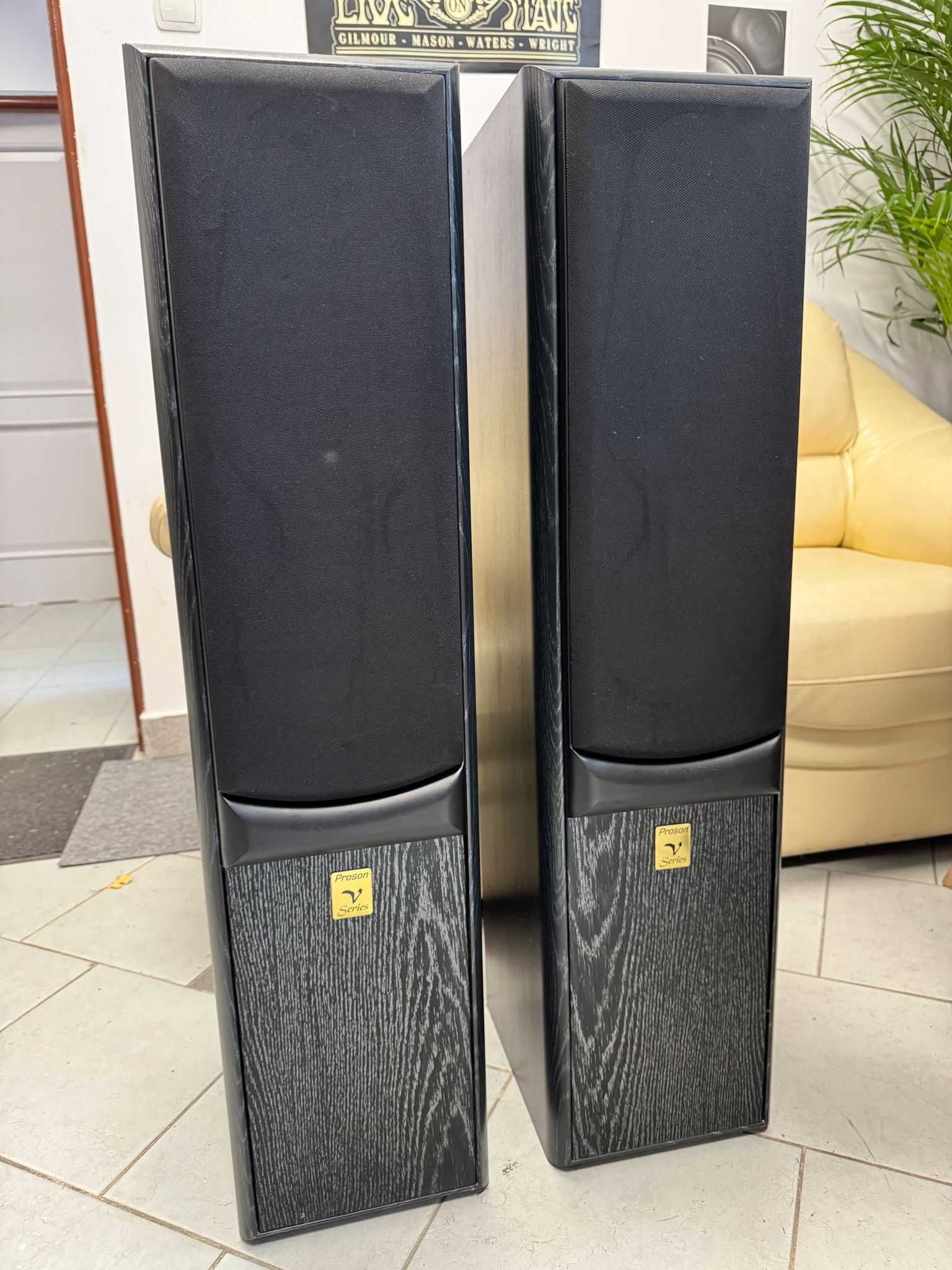 Kolumny głośnikowe PROSON Twin V6