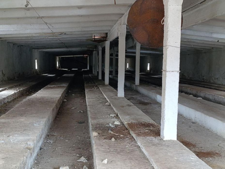 Агрокомплекс: птахофабрика + ферма з вирощування равликів, 19 га