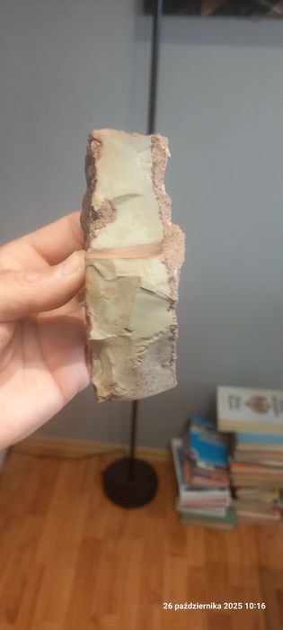Minerały skamieniałości porcelanit
