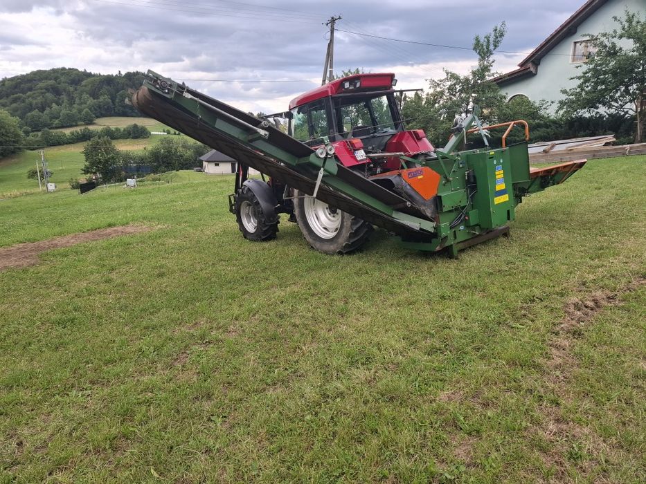 Rebak bijakowy posch