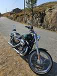 Sportster 883 custom 2007