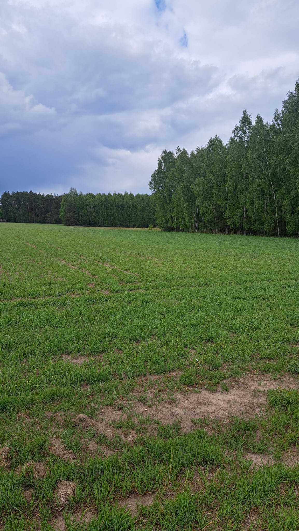 Działka budowlana Drgicz gm Stoczek