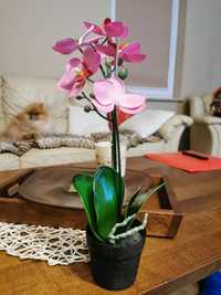 Sztuczna roślina doniczkowa, Orchidea różowy  w dniu urodzin rocznica