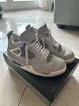 jordan 4 frozen