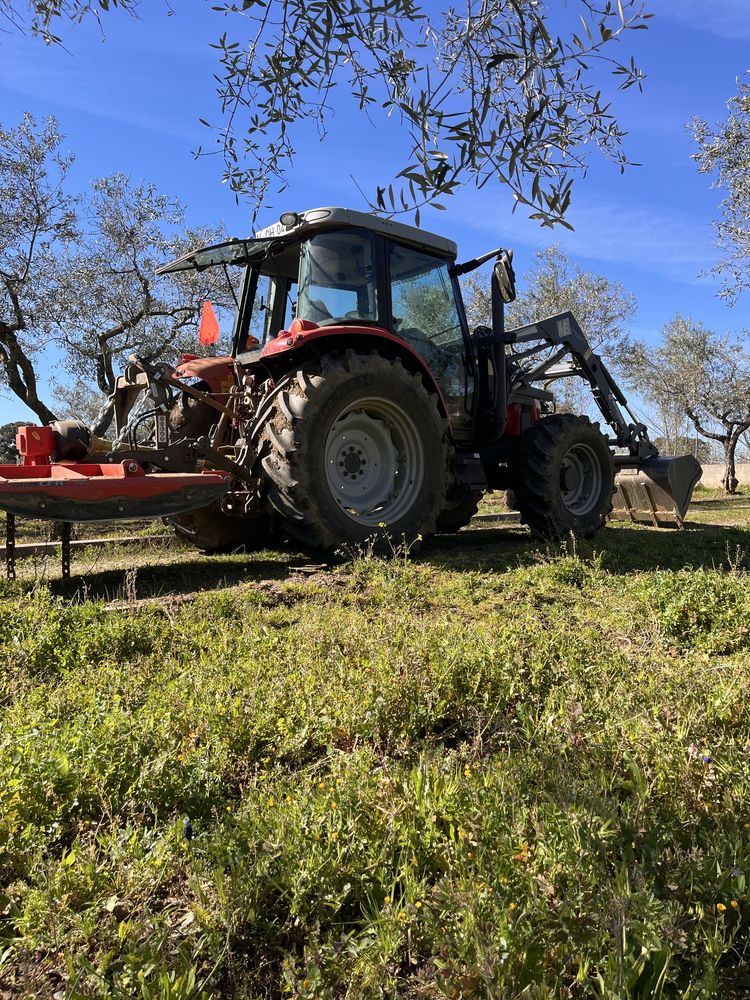 Prestação de servicos agricolas, florestais e jardinagem