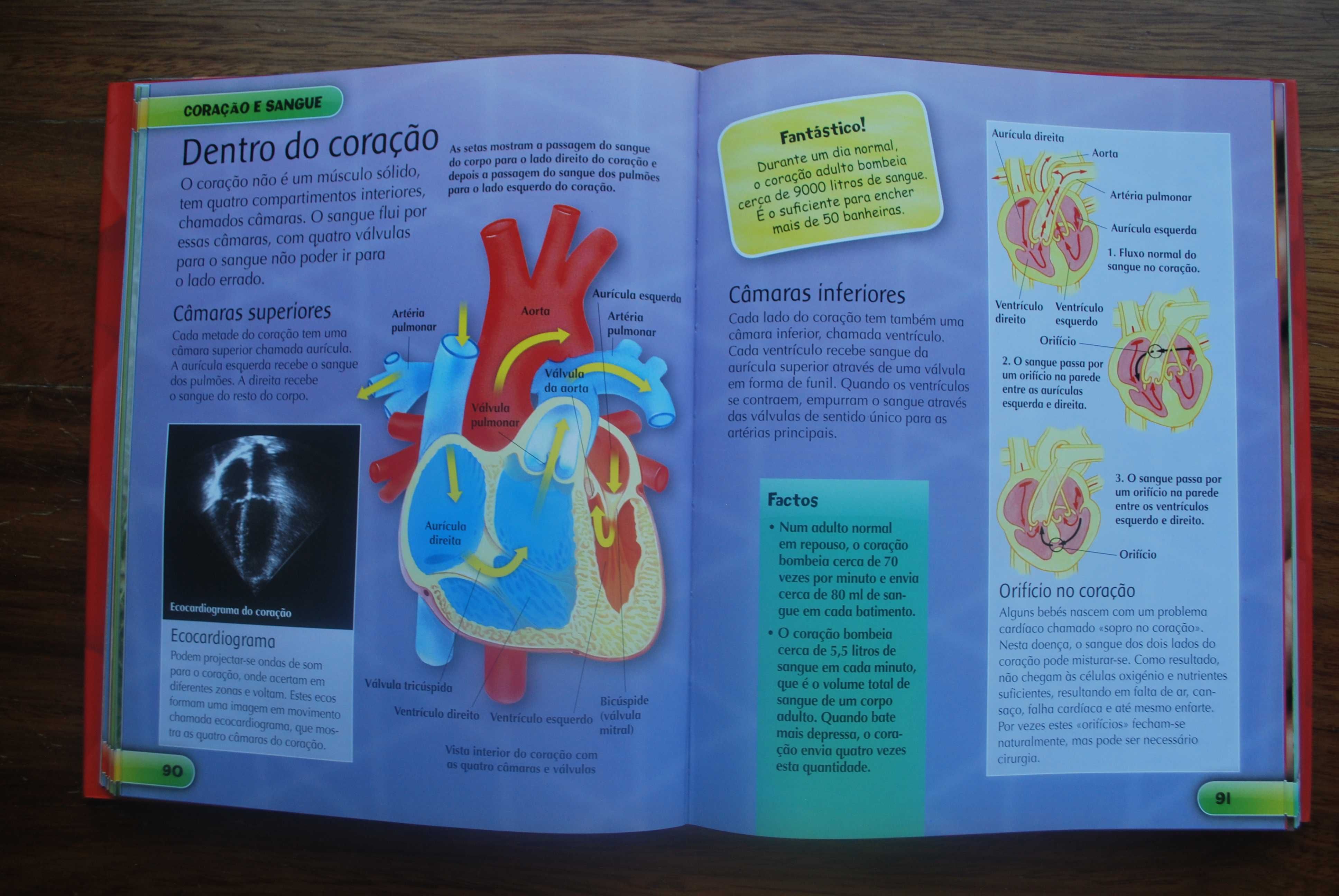 A Enciclopédia do Corpo Humano (A Partir 8 Anos)