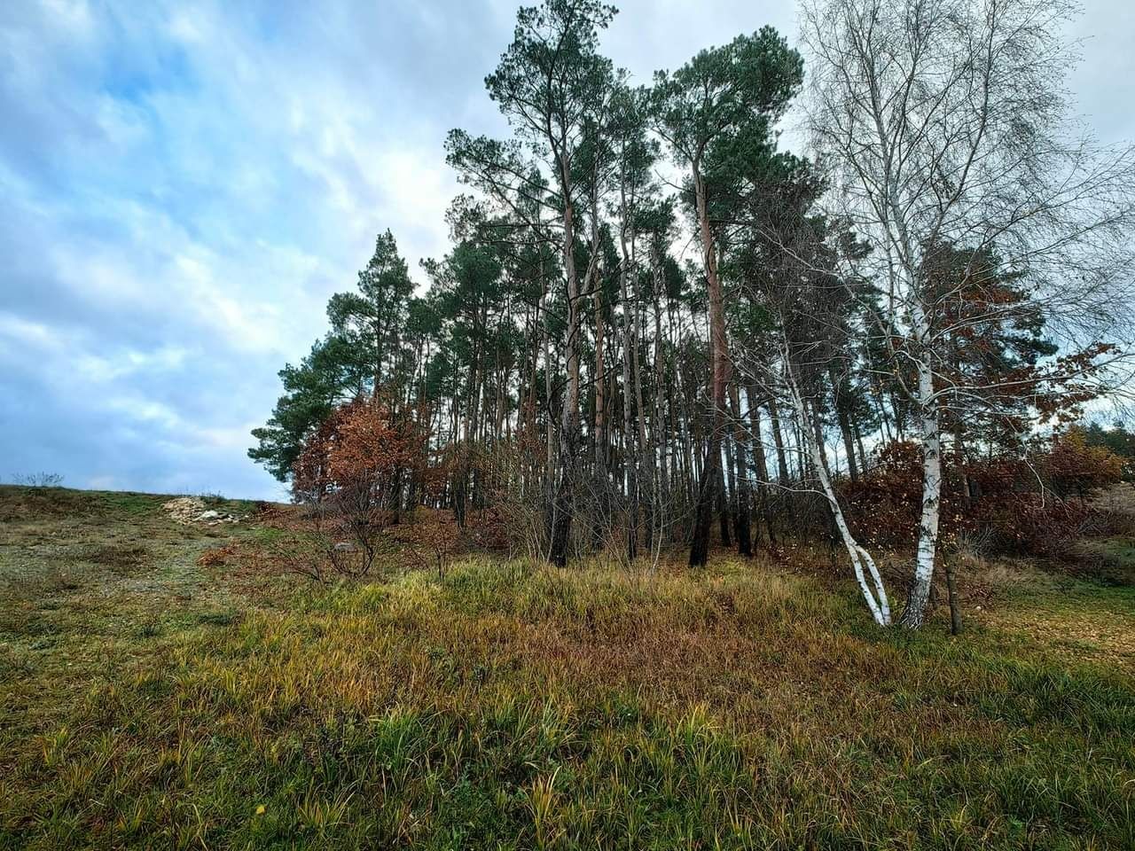 Działka budowlana przy ul.Mieszka I, pow. 1650m2 Golub-Diorzyń