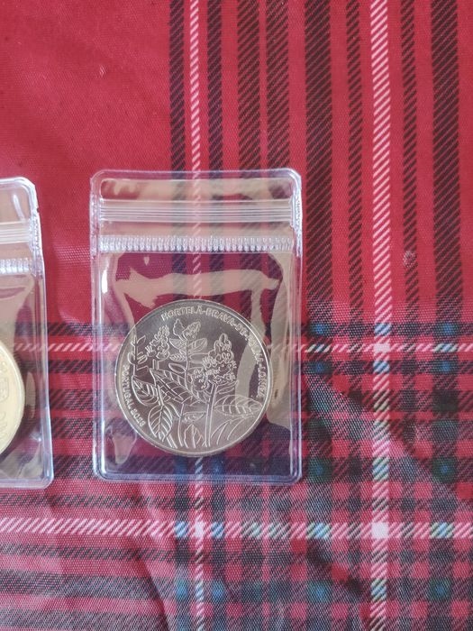 Hortelã Brava e 20 Anos do Euro