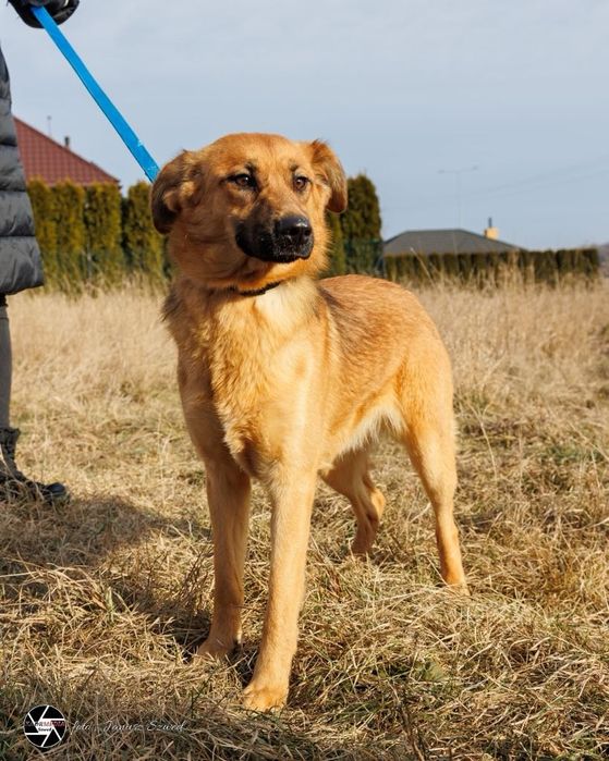 Pepsi szuka swojego Człowieka