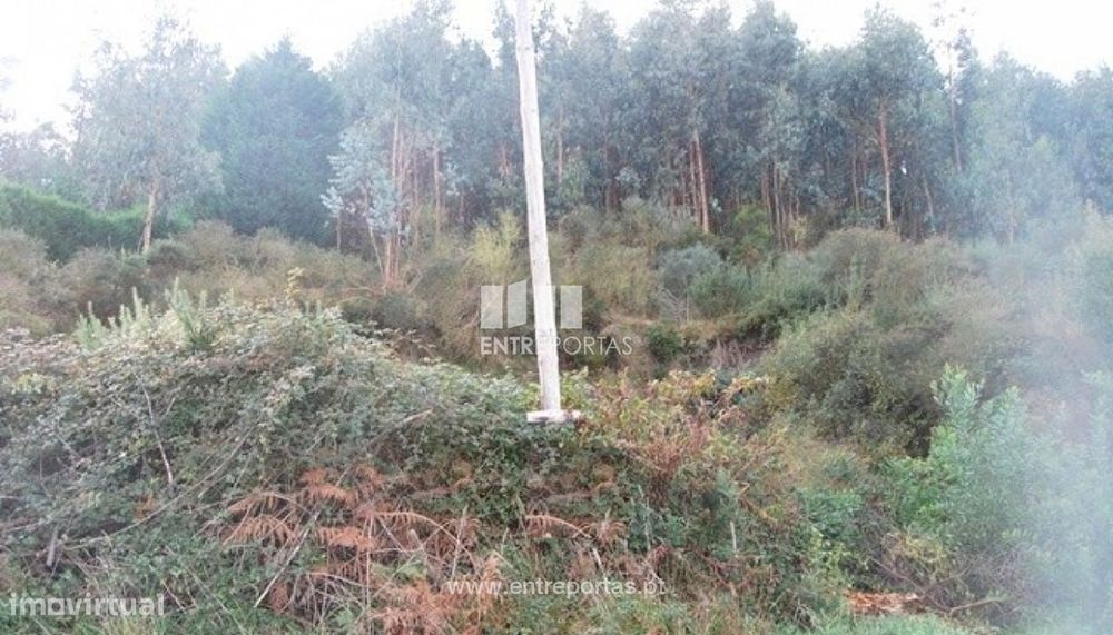 Terreno para venda, Vilarelho, Caminha