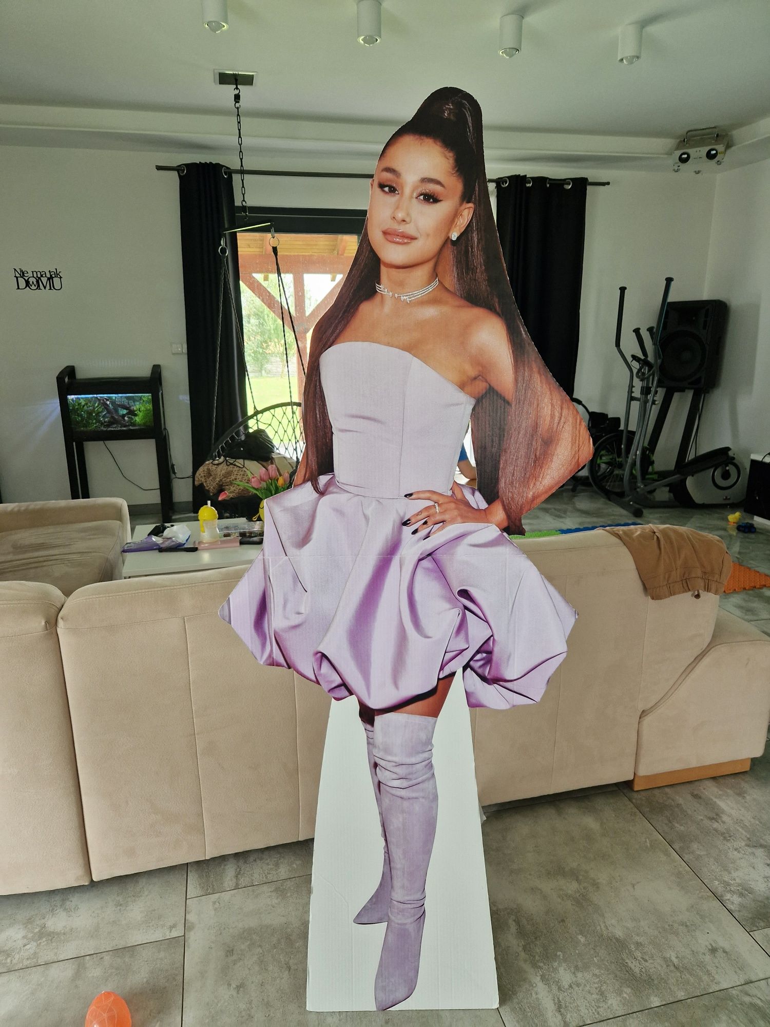 Ariana Grande karton zdjęcie