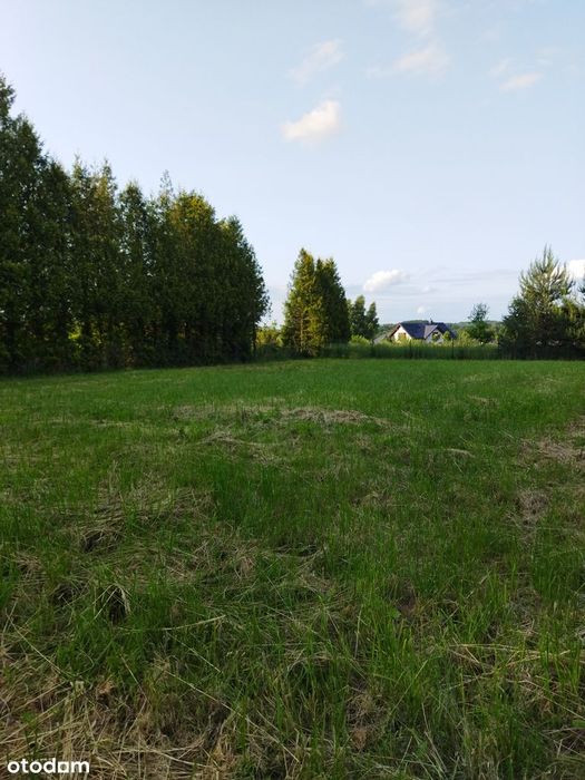 Działka budowlana w Grodźcu