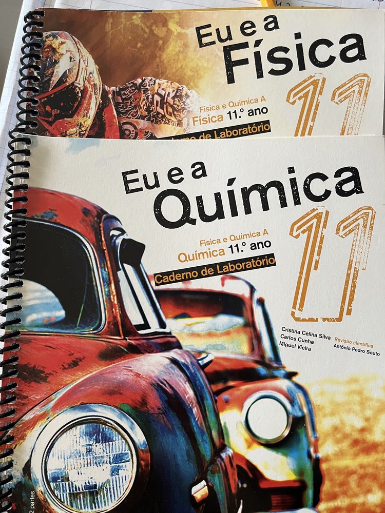 Eu e a química e física 11 ano