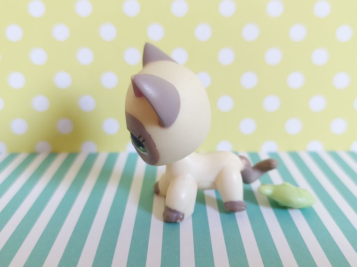 Littlest Pet Shop LPS unikatowy kot Shorthair #1116 pop