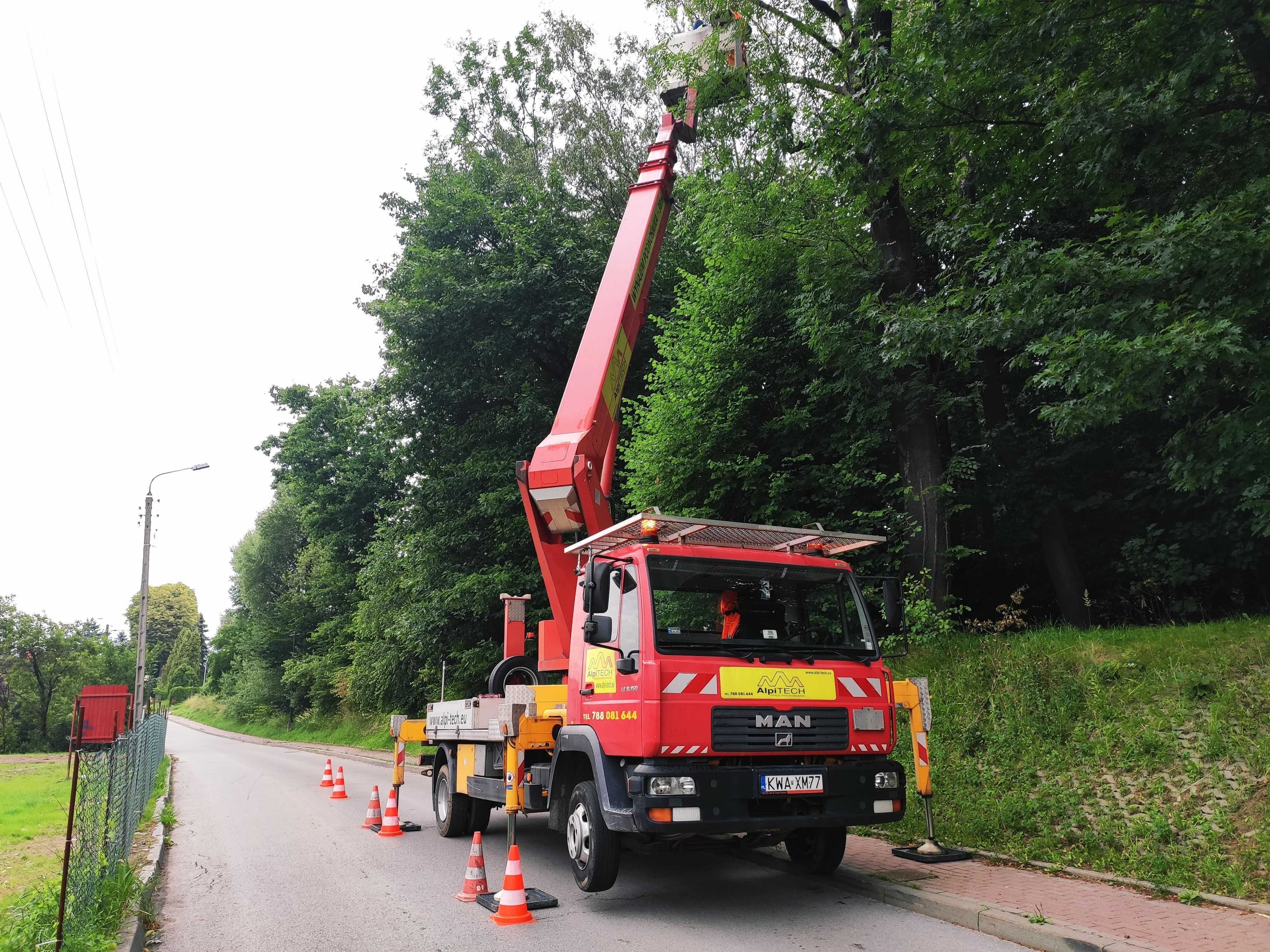 Wycinka drzew z podnośnika /metoda alpinistyczna/rębak/frezowanie pni