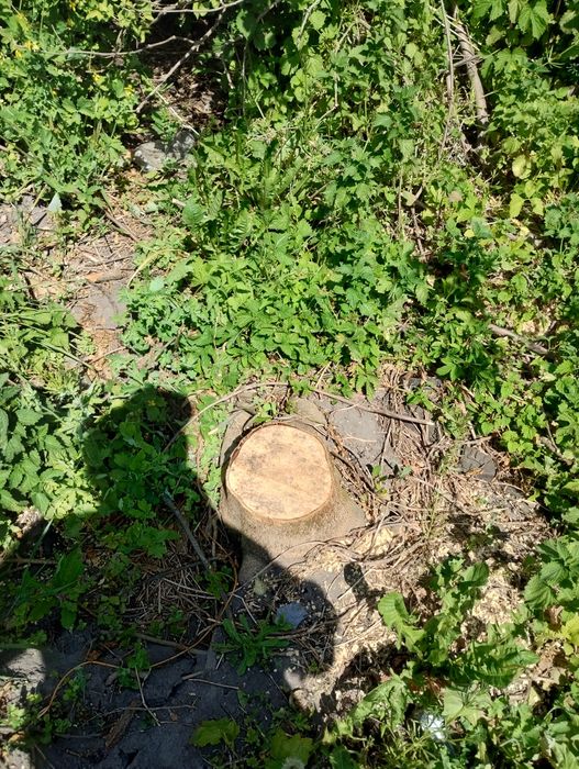 Замельна ділянка під забудову