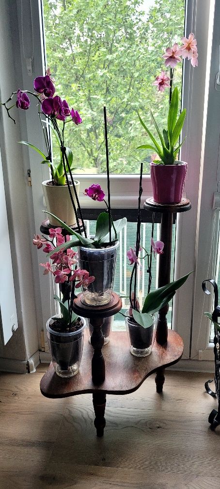 Piękny stojak drewniany na kwiaty vintage