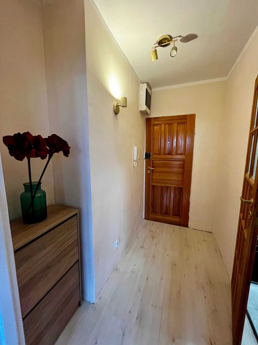 Słoneczna Kawalerka 30 m2, umeblowana  na wynajem od zaraz