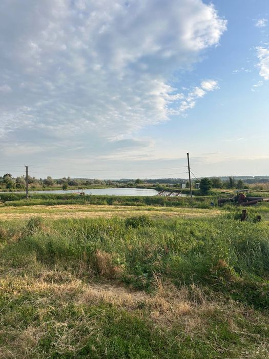 Продаж рибного господарства 504га в с. Куцеволівка