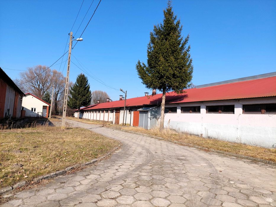 Łowicz, ul. Bolimowska - Wynajmę nieruchomość