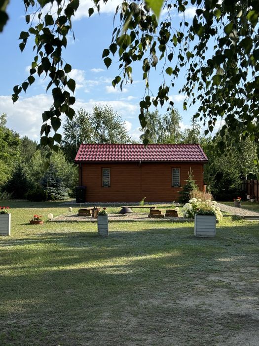 Wynajmę domek w otulinie lasu (klimatyzowany)