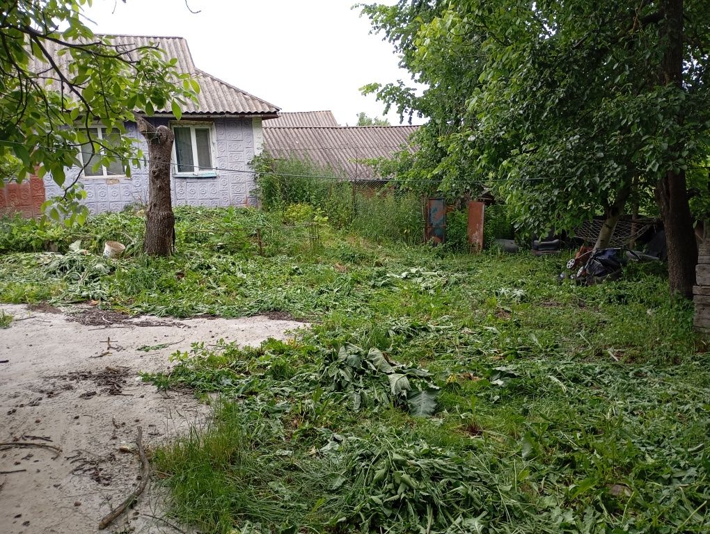 Продам Хату в селі.