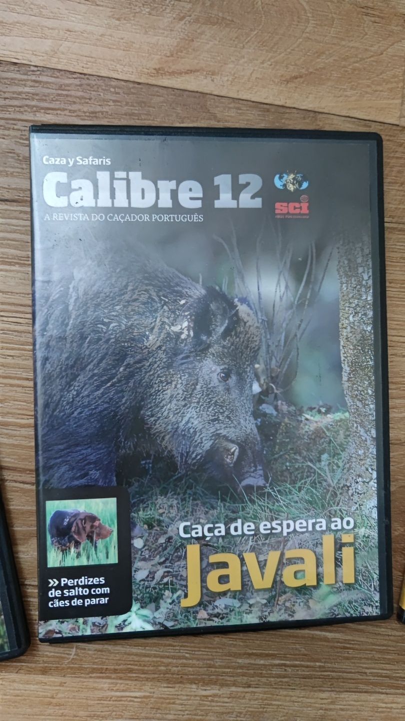 Videos de Caça Calibre 12