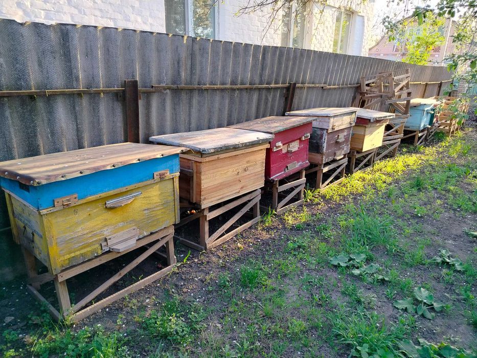 Вулики б/у ціна договірна