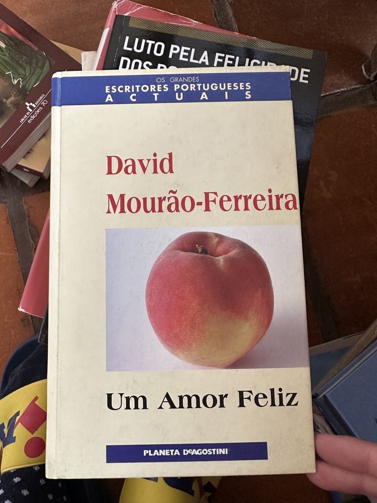 livro David Mourão-Ferreira - Um Amor Feliz.