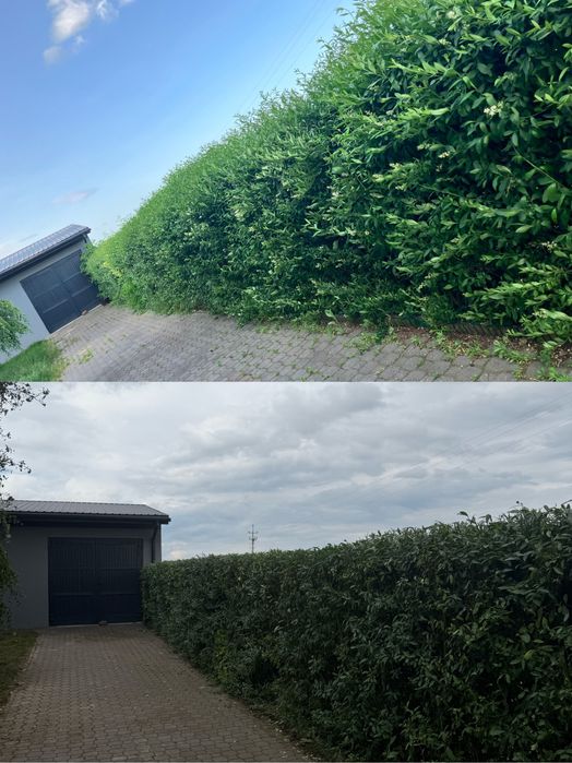 Złota rączka, koszenie, prace ogrodowe, transport, rębak, meble