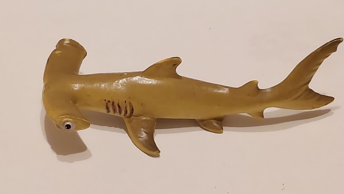 Hammerhead Shark - Rekin Młot