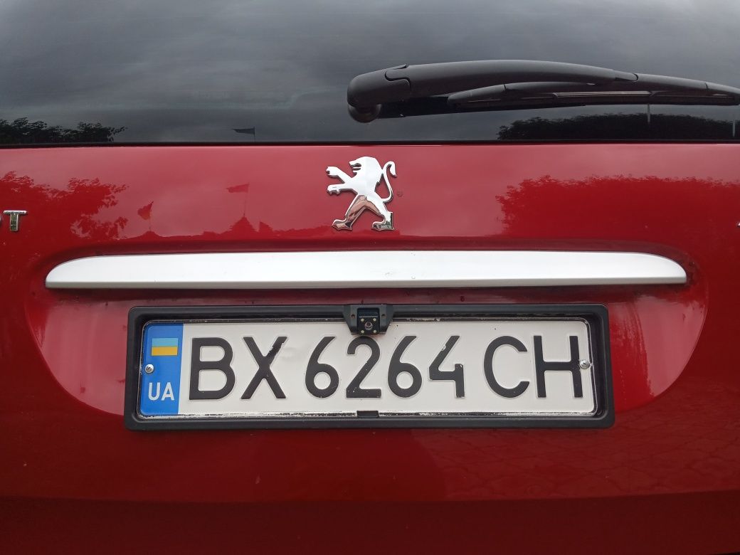 Пижик 307св 2006