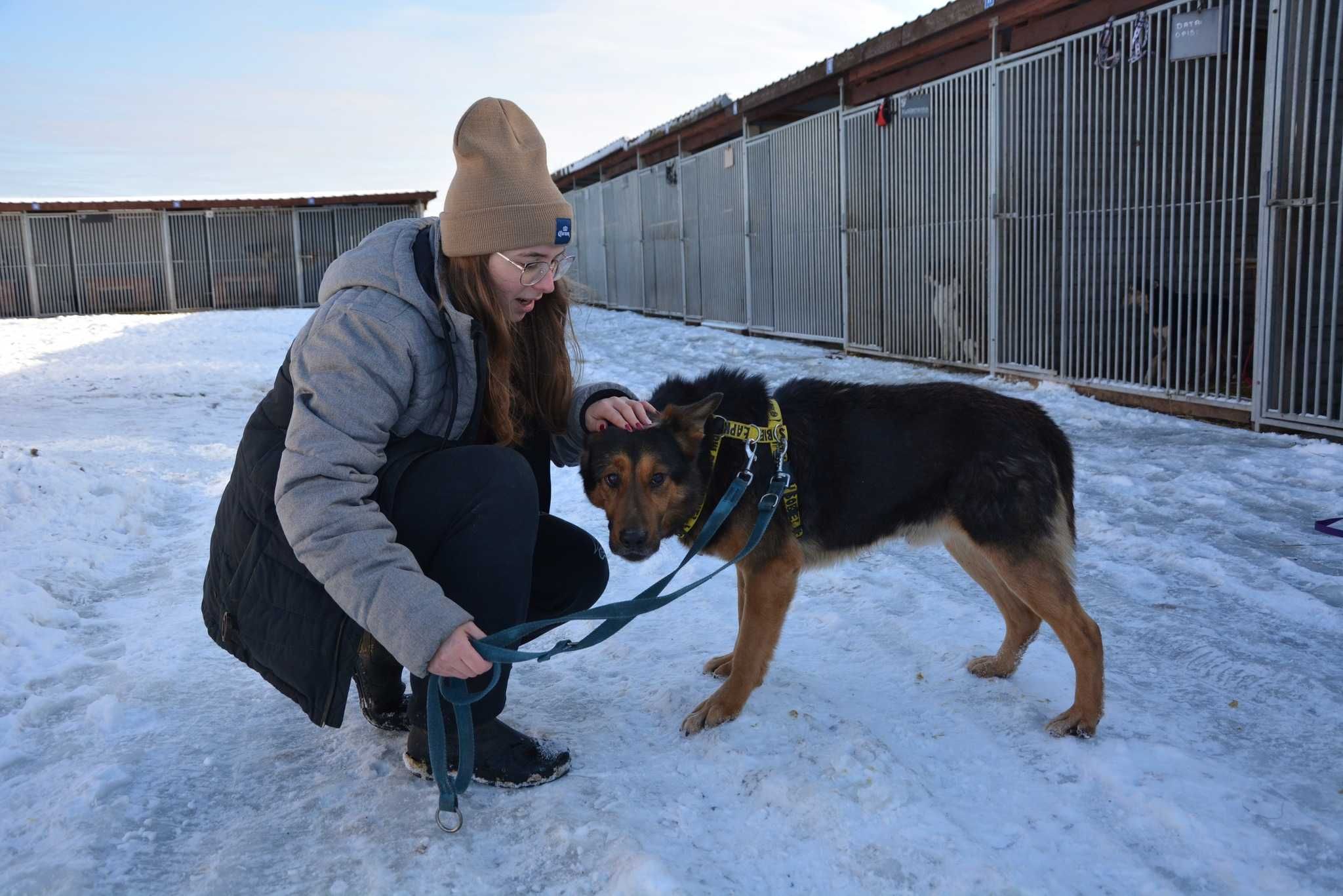 Azor jedyny taki psyjaciel na zawsze ADOPCJA