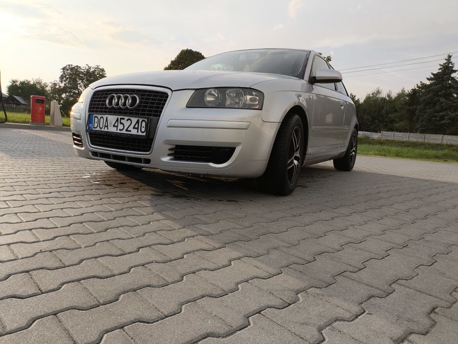 Audi A3 8P 1.9TDI