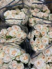 Тюльпани та рози оптом