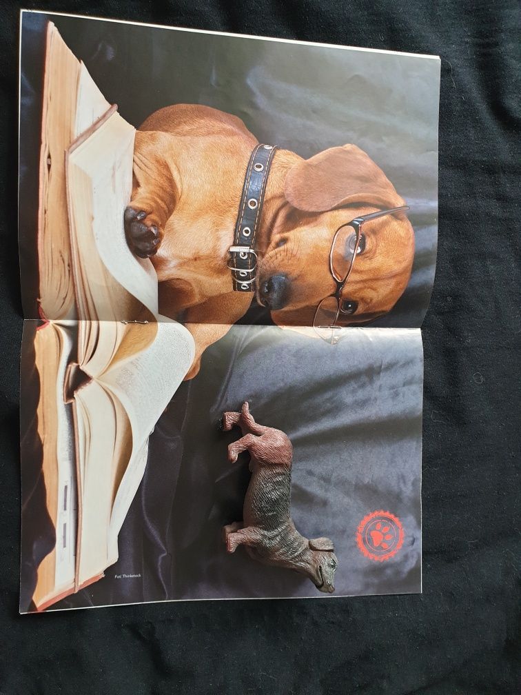 Gazetka Psy+figurka kolekcja