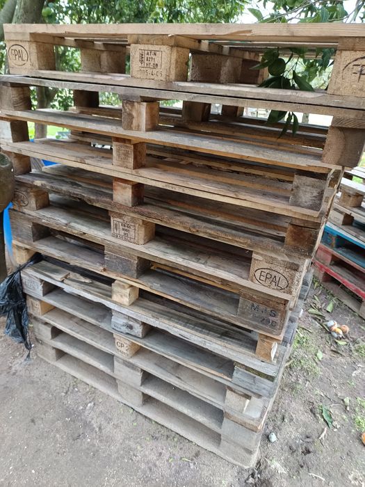 Paletes tamanho europeu ( 80 x 1,20)