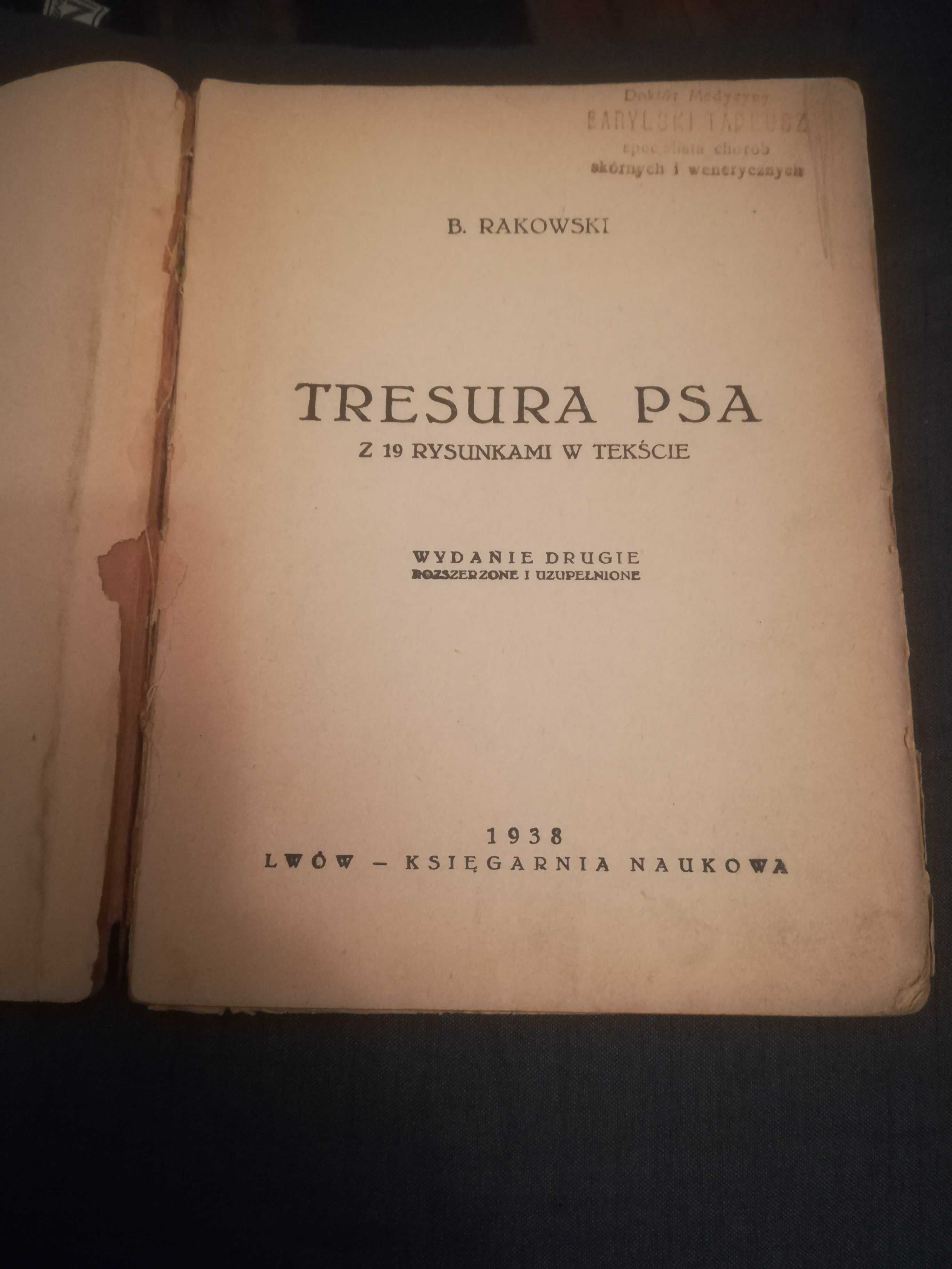Tresura psa z 19 rysunkami w tekście B. Rakowski 1938r.