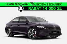 Skoda Octavia Octavia FL RS 2.0 TSI 265 KM DSG