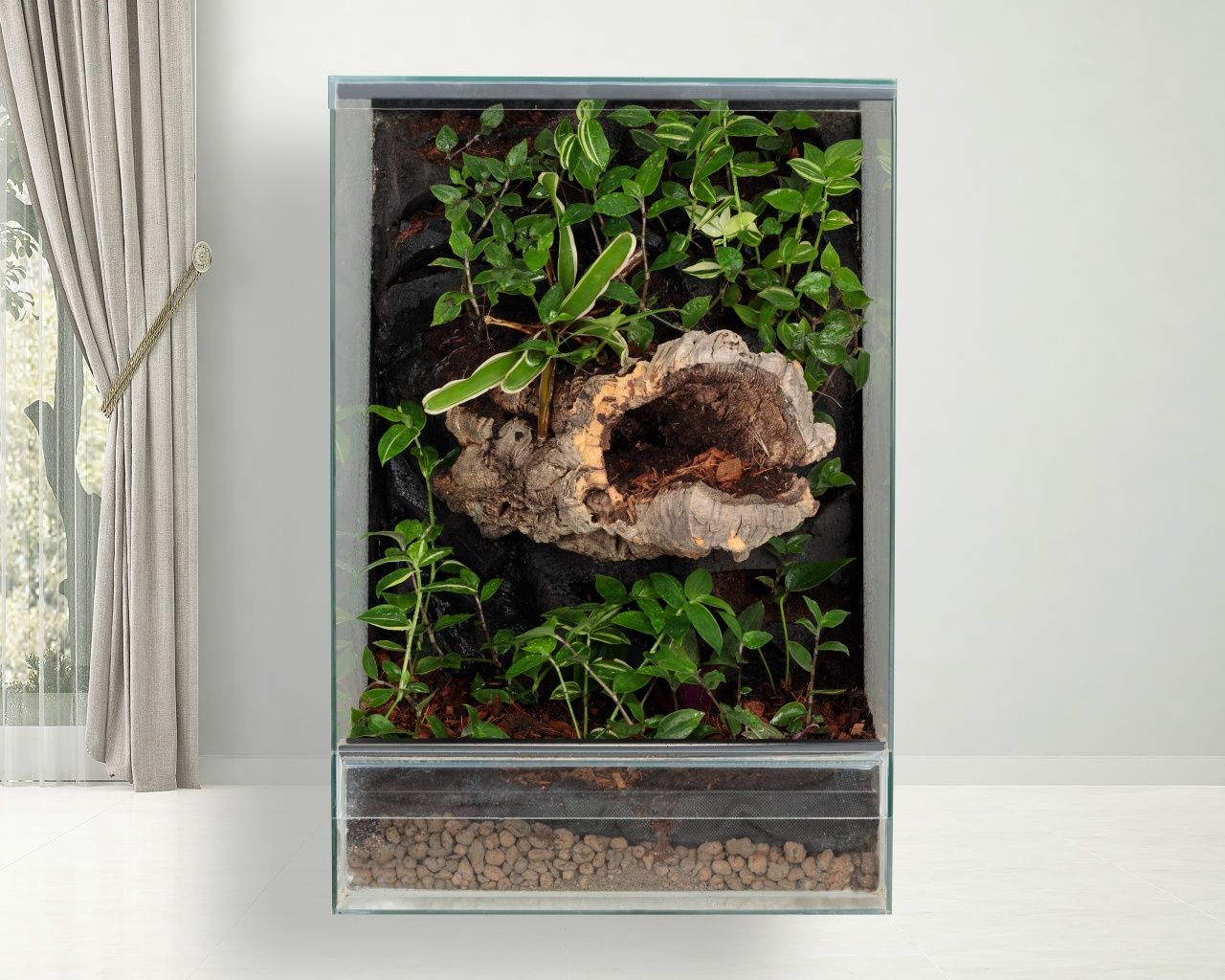 Terrarium paludarium las w szkle