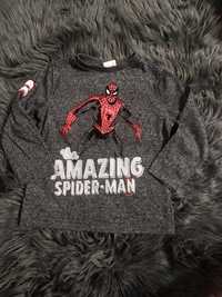 Bluzka Marvel Spiderman