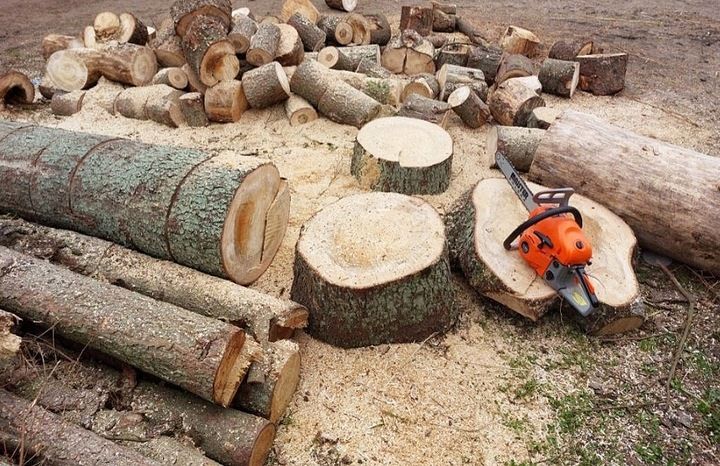 Piła Spalinowa Pilarka Łańcuchowa Do Drewna 2x Łańcuch 2x Prowadnica 2