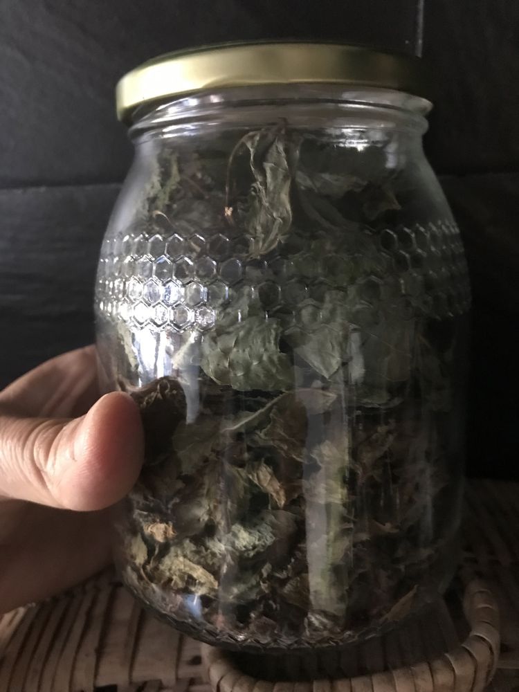 Chas e aromáticas, cidreira, menta, louro (secas ou desidratadas)