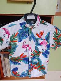 Koszula letnia hawajska chłopięca
