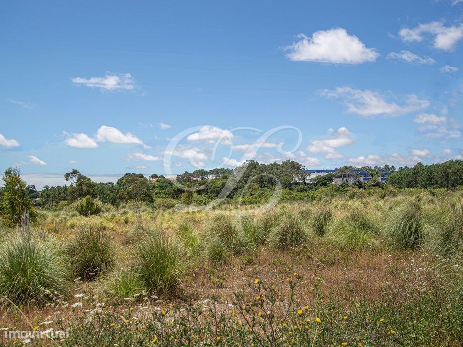 Terreno de 50.000m2, Sintra