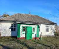 Продам будинок, центр села Новосілки,25 км від Києва,Житомирська траса
