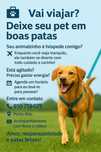 Seu Pet Bem Cuidado – Passeios, Carinho e Atenção.